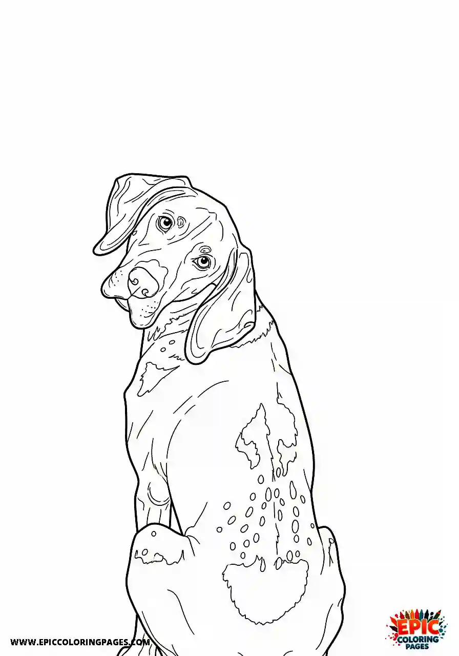german shorthaired pointer Realistic style german shorthaired pointer looking directly backward over its muscular shoulder