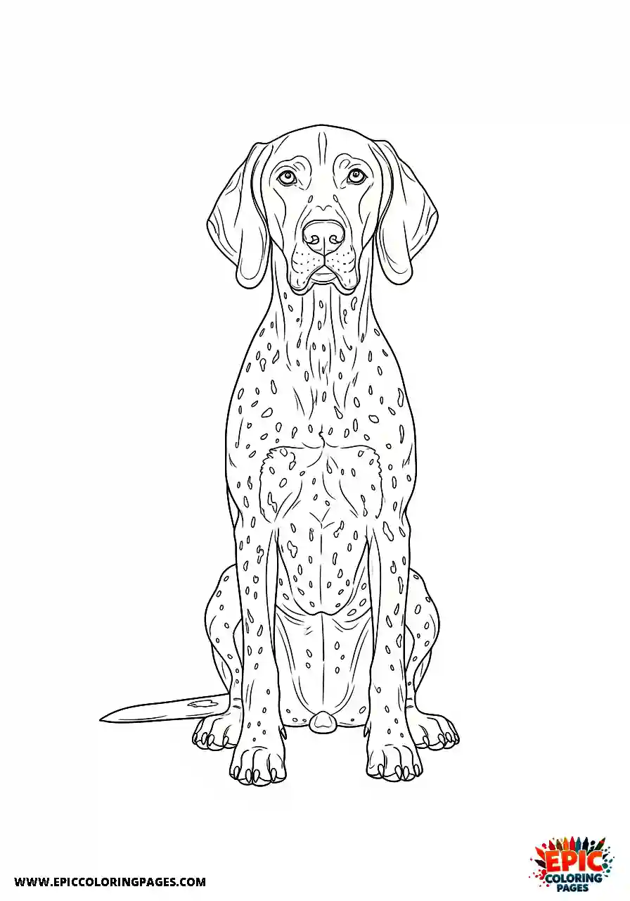 german shorthaired pointer Realistic style german shorthaired pointer posing symmetrically facing completely forward