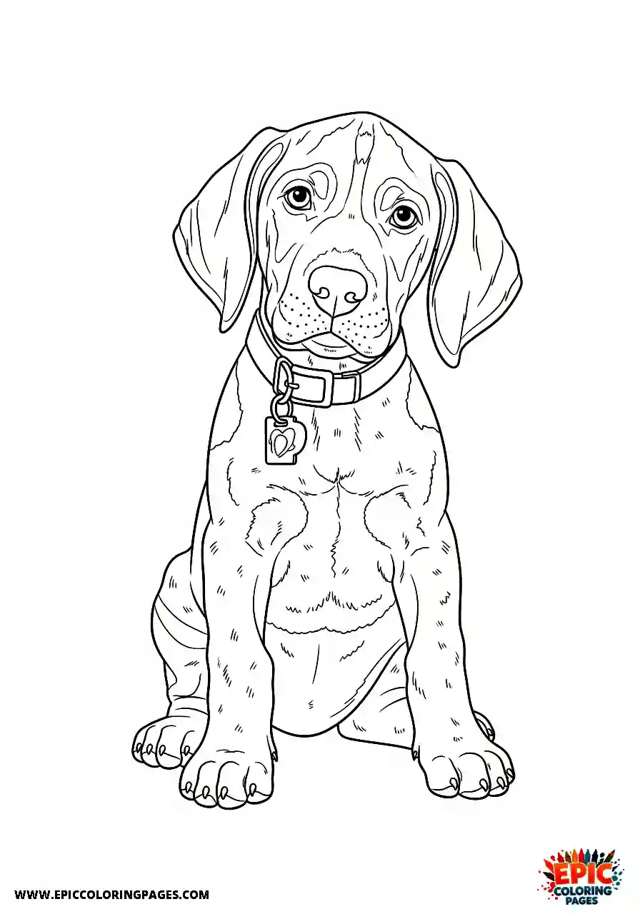 german shorthaired pointer Realistic style german shorthaired pointer puppy with a classic asymmetrical folded ear