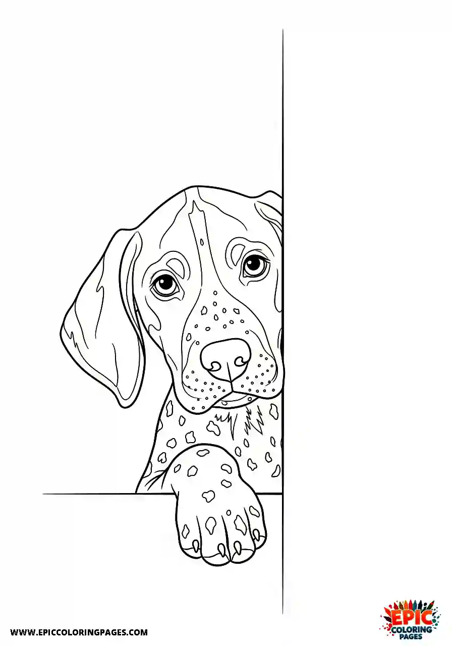 german shorthaired pointer Realistic style german shorthaired pointer puppy looking curiously around an indoor wall corner