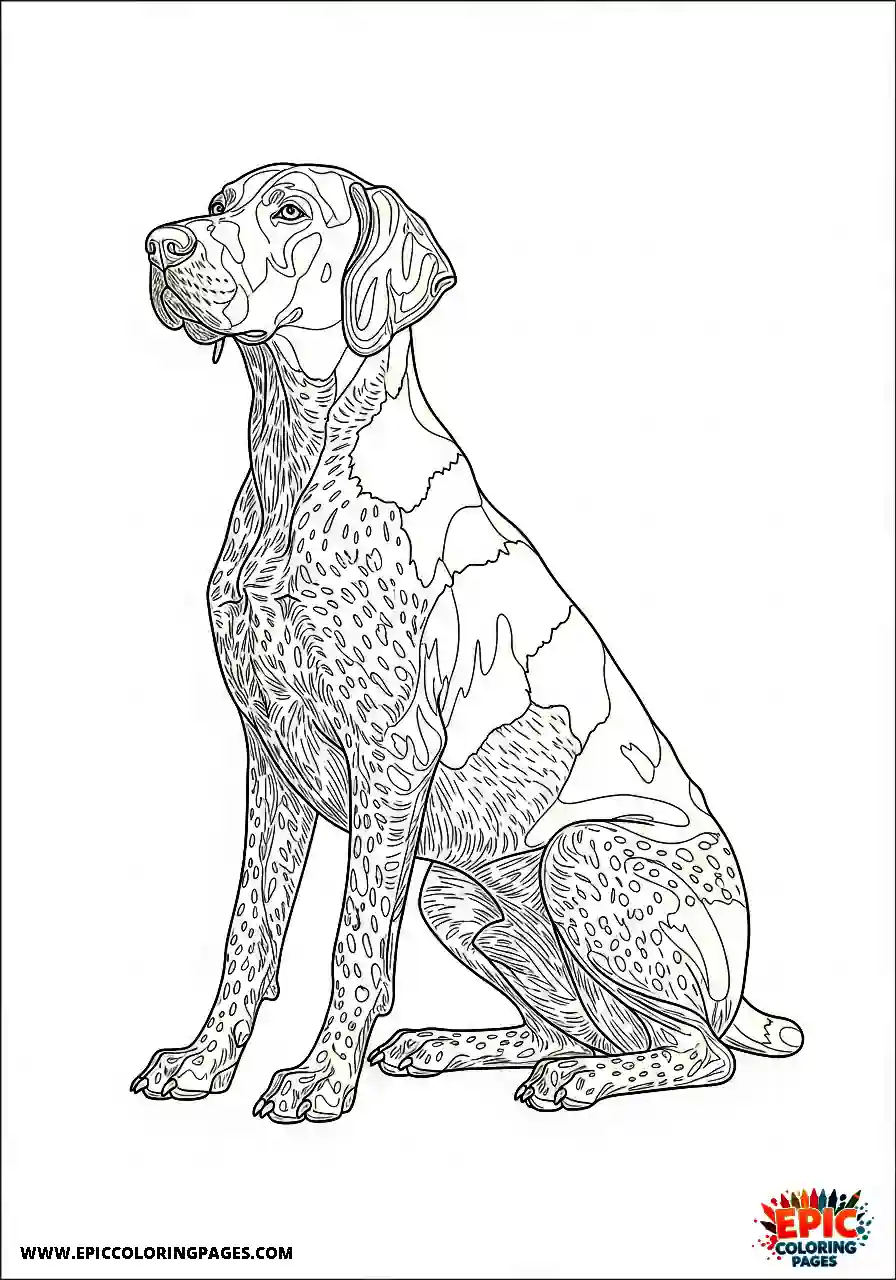 german shorthaired pointer Realistic style german shorthaired pointer sitting upright with perfect posture