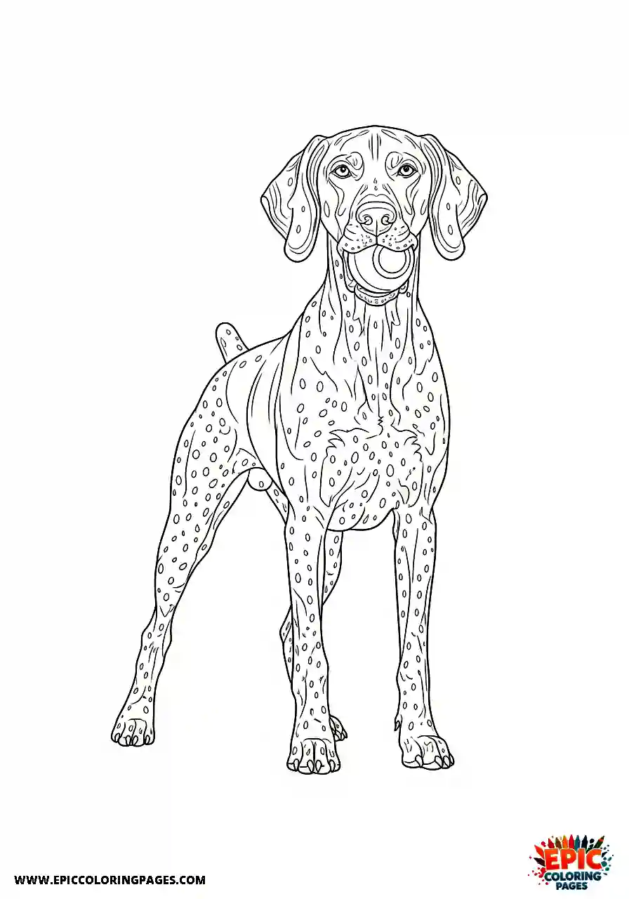 german shorthaired pointer Realistic style german shorthaired pointer walking confidently while holding a favorite toy