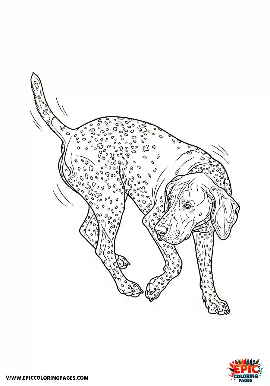 german shorthaired pointer Realistic style german shorthaired pointer whirling around playfully in the green grass