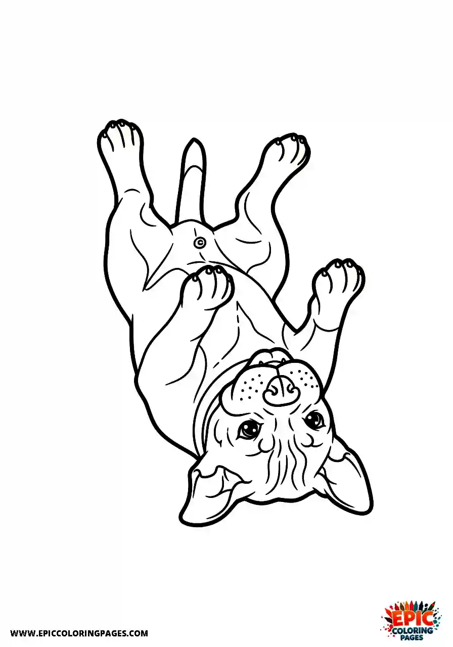 Boxer Simple cartoon style boxer dog rolling on its back with feet in the air
