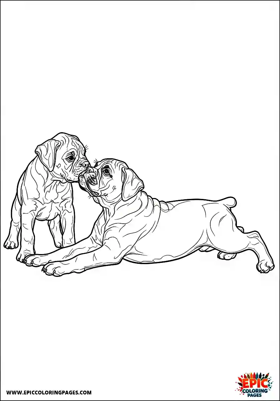 Boxer Two realistic boxer dog pups nuzzling while doing a long body stretch