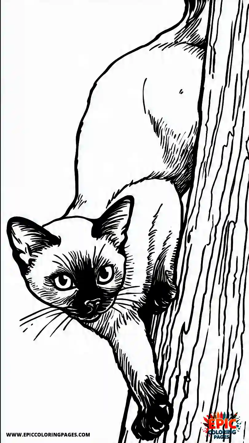 Siamese Cat Kitten Siamese climbing a tree.