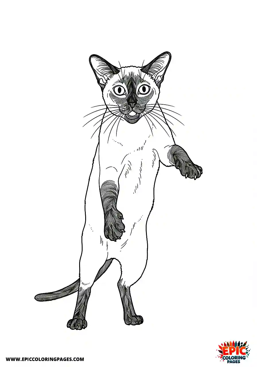 Siamese Cat A Siamese manga cat in an attack pose.