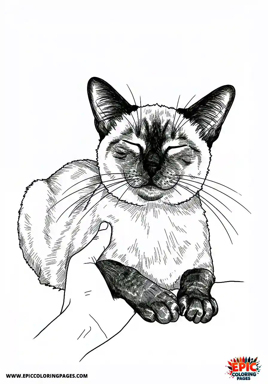 Siamese Cat Siamese realistic cat enjoying gentle petting.